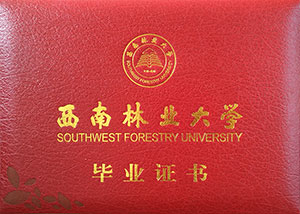 西南林业大学毕业证书样本